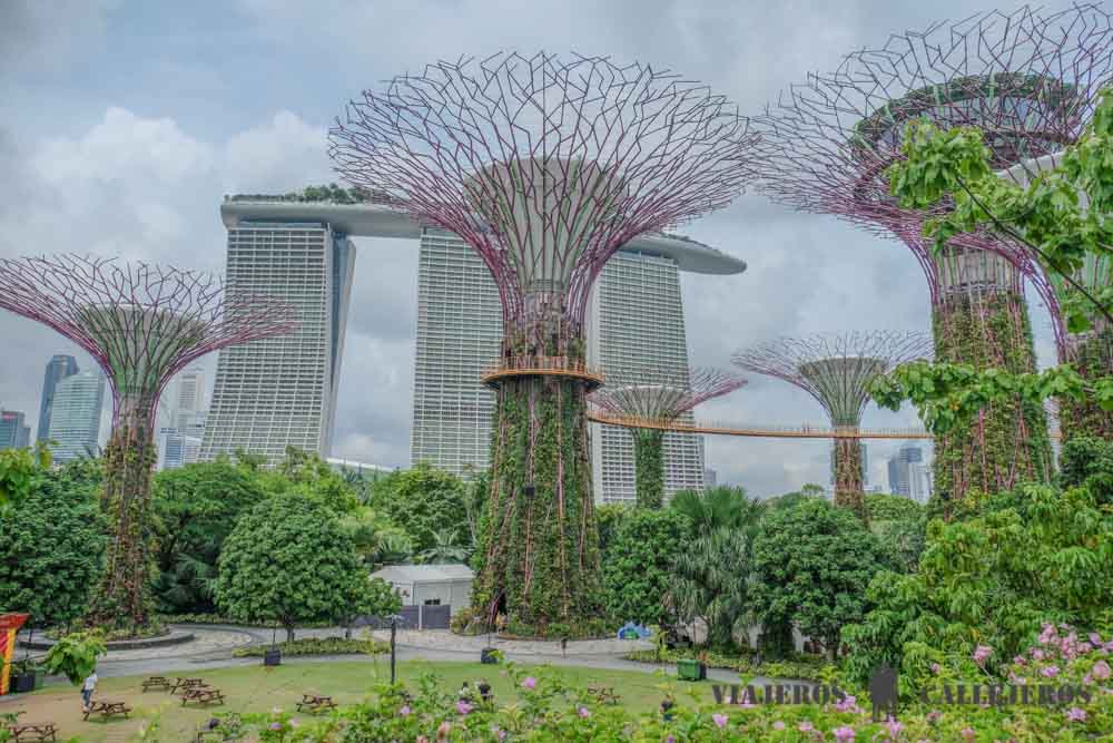 Gardens by the Bay