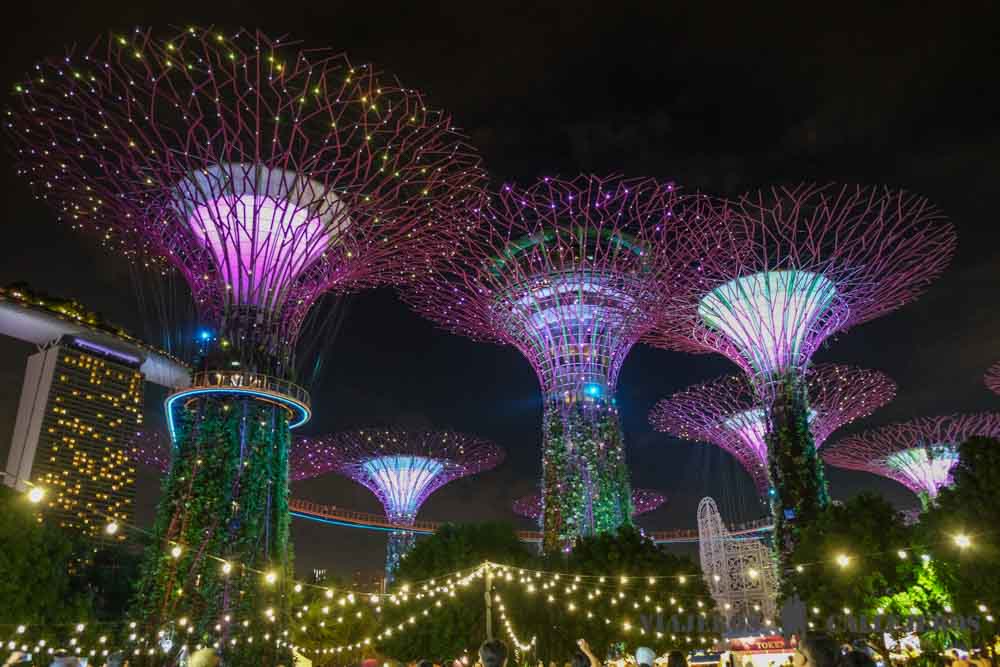 Espectáculo nocturno Rhapsody en Gardens by the Bay