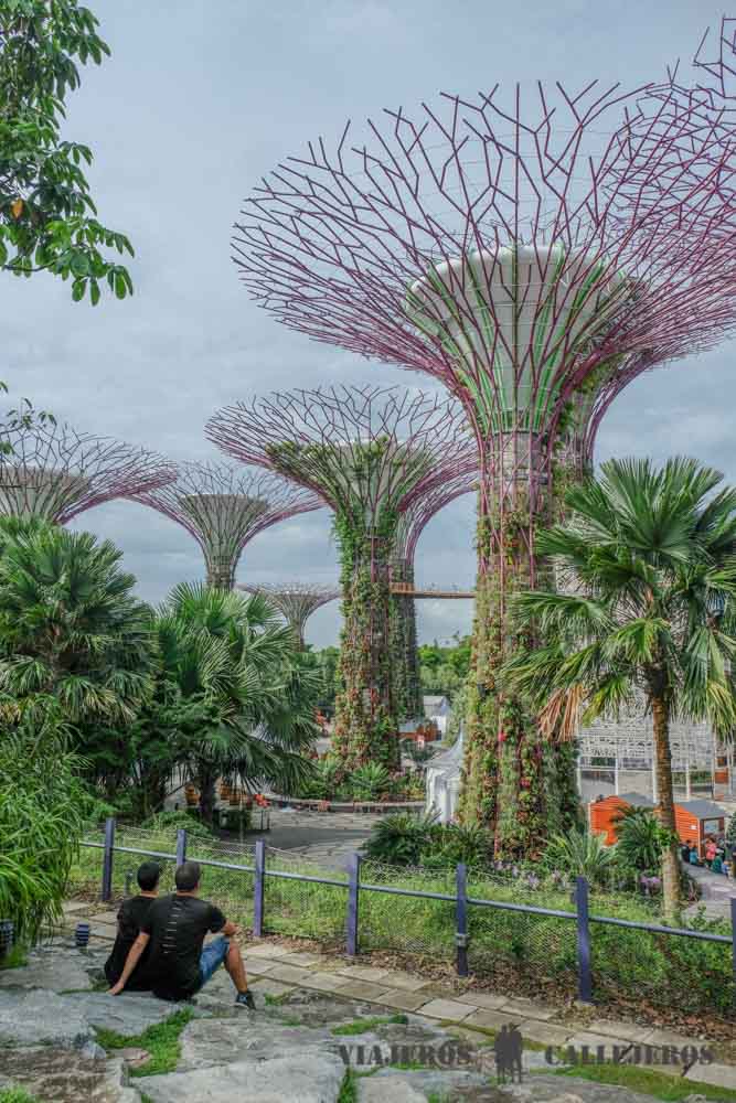 Miradores en Gardens by the Bay