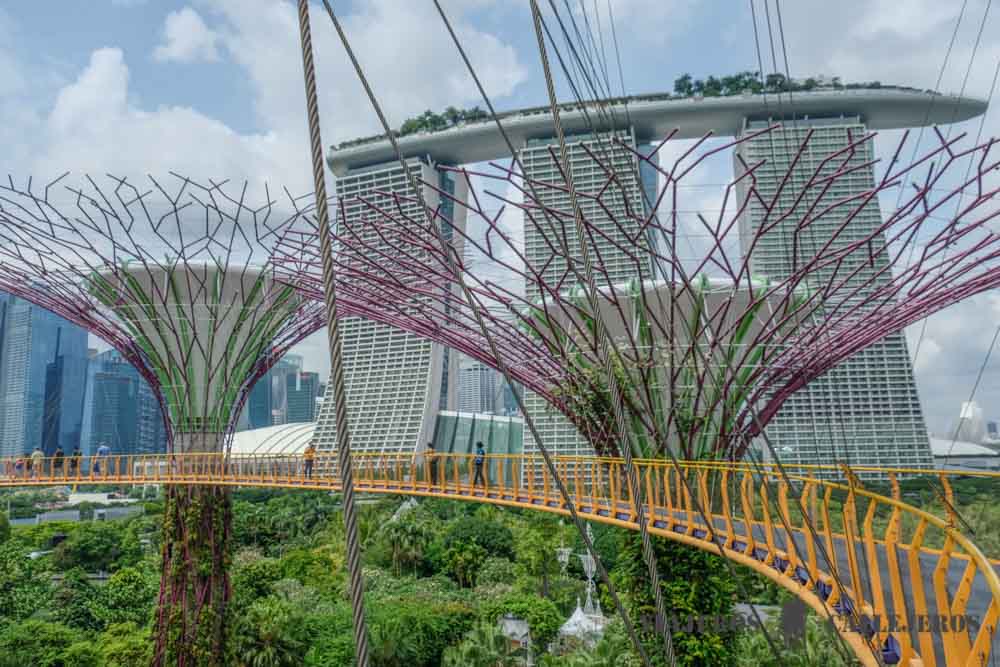 OCBC Skyway
