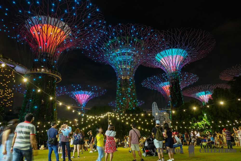 Espectáculo luz y sonido Gardens by the Bay