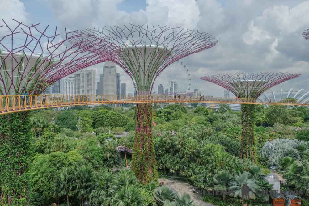 Gardens by the Bay