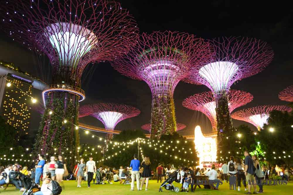 Espectáculo luz y sonido Gardens by the Bay