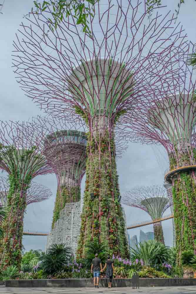 Super árboles Gardens by the Bay