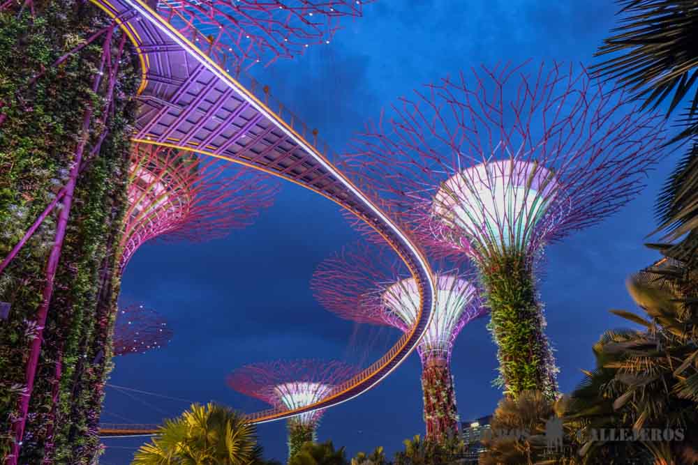 Espectáculo luz y sonido Gardens by the Bay