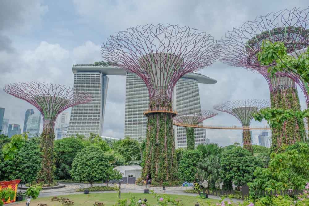 Gardens by the Bay, uno de los lugares que ver en Singapur