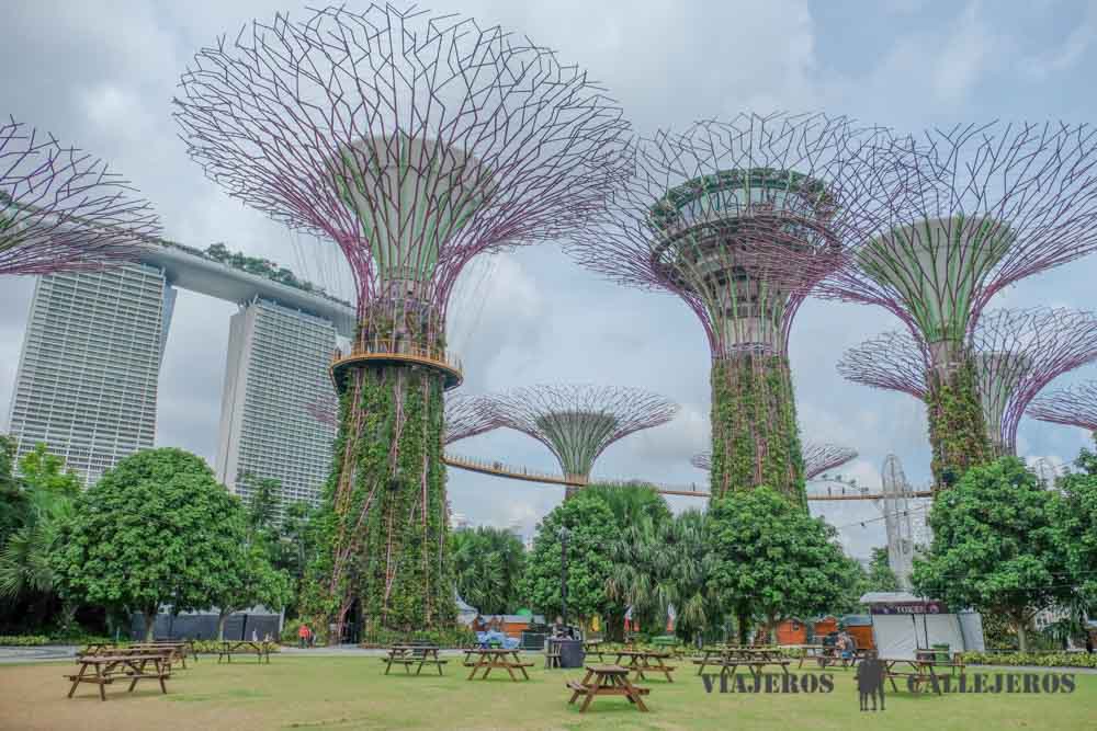 Gardens by the Bay