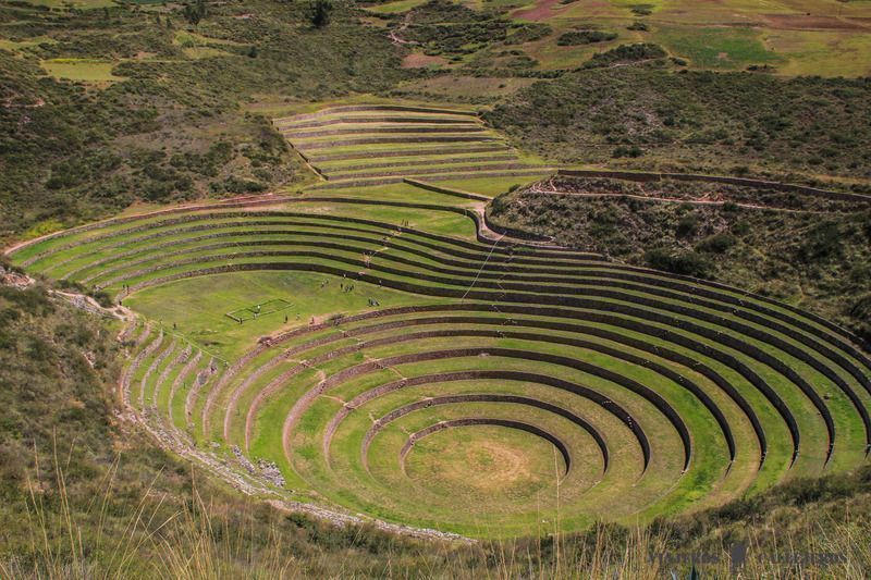 Moray