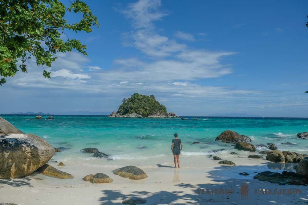 Cala en Sunrise Beach