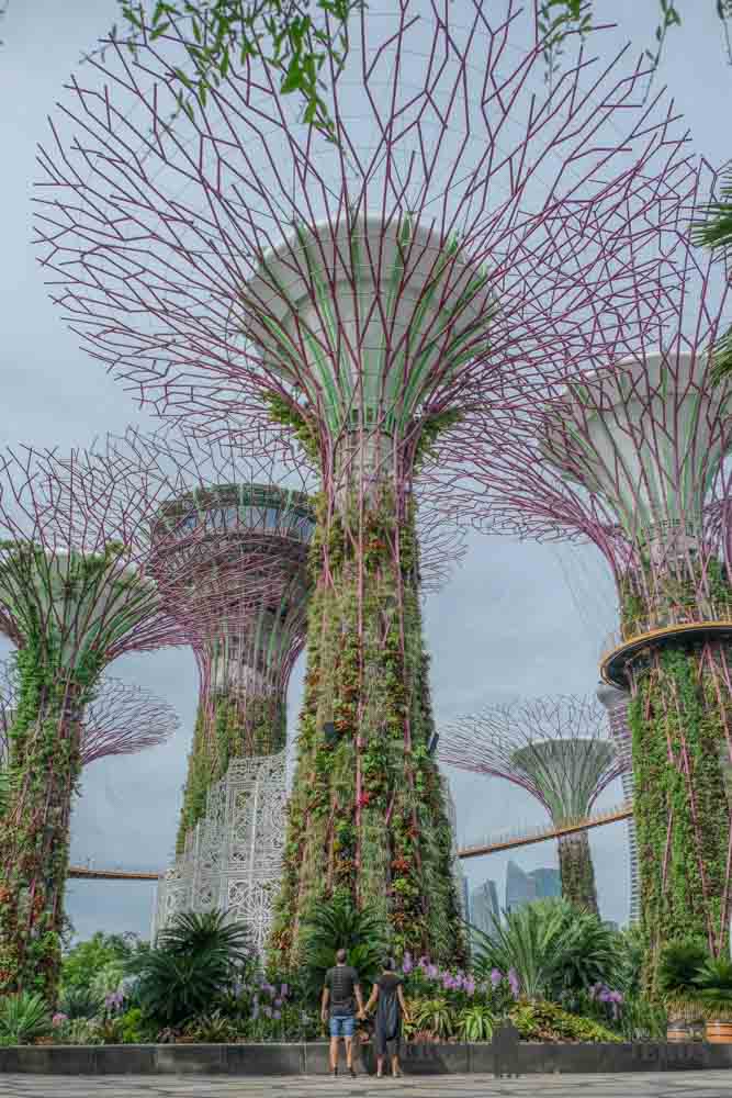 Super árboles Gardens by the Bay