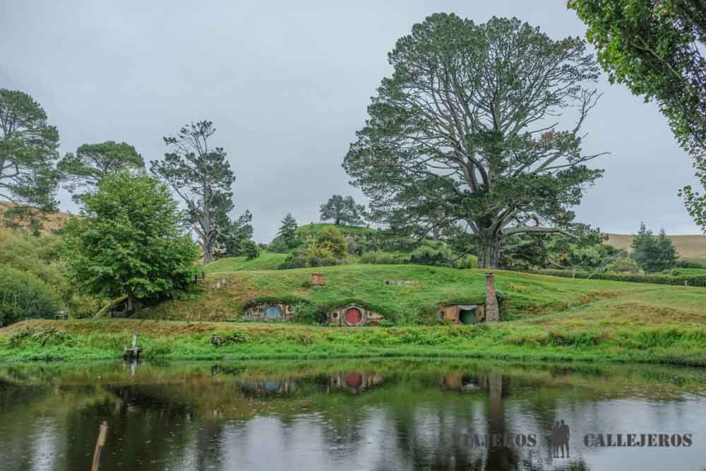 Visitar Hobbiton Movie Set
