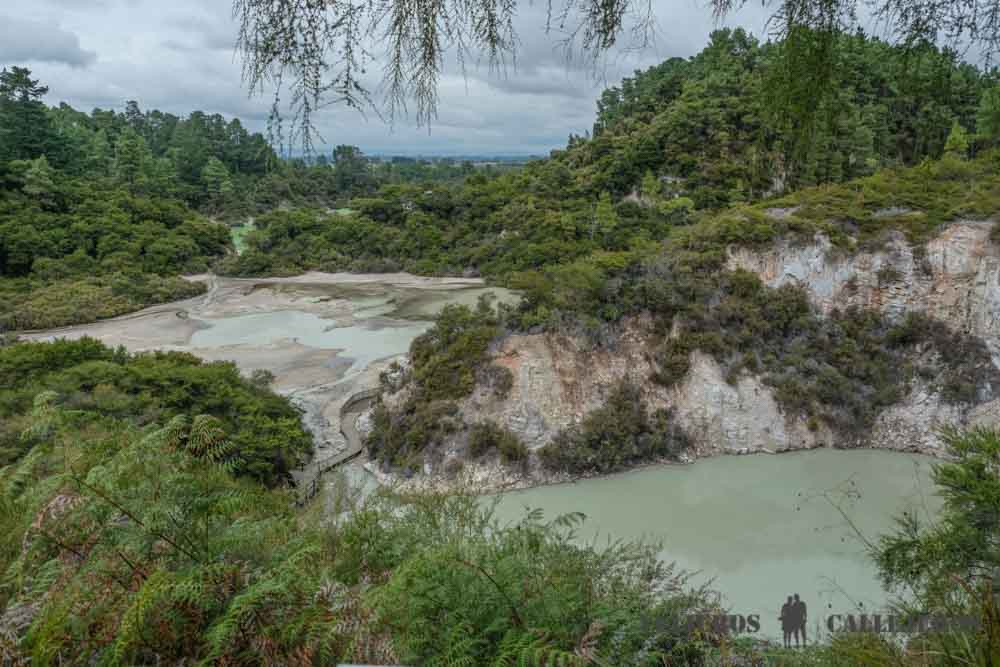 Sendero amarillo en Wai-O-Tapu