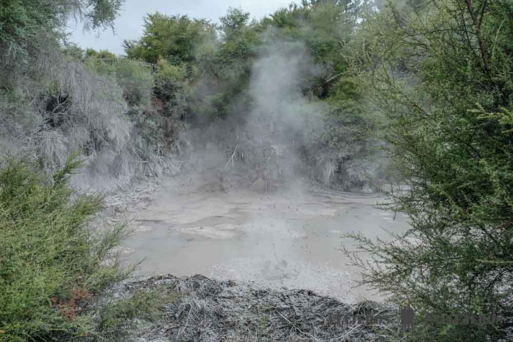 Mud Pool o piscina de barro