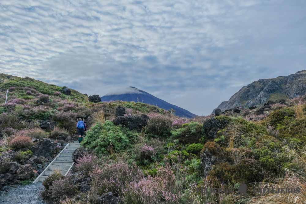Primera Etapa del Trekking Tongariro