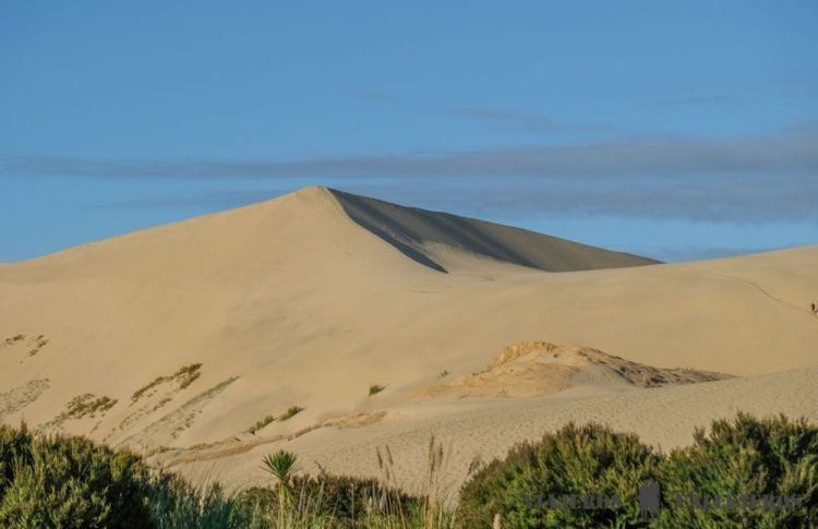 Te Paki Giant Dunes