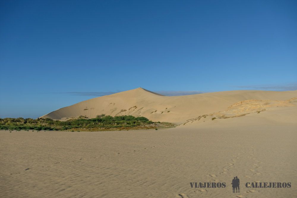 Te Paki Giant Dunes, uno de los lugares que ver en Northland