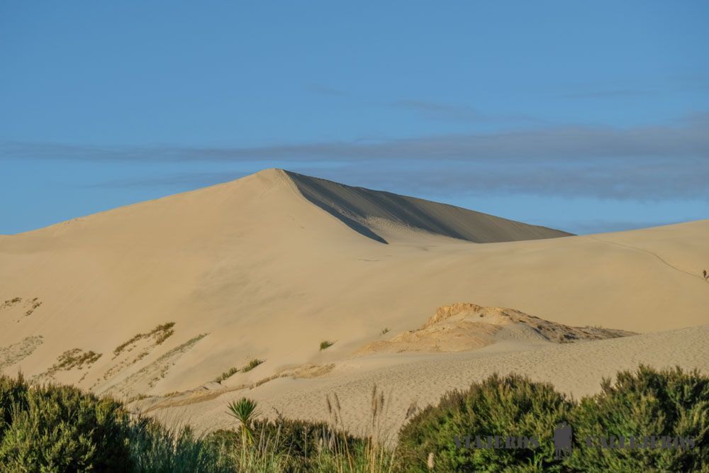 Te Paki Giant Dunes