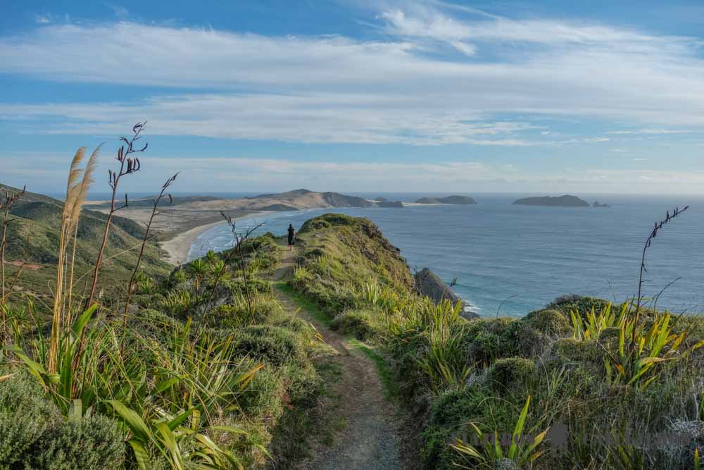 Sendero Te Werahi Beach