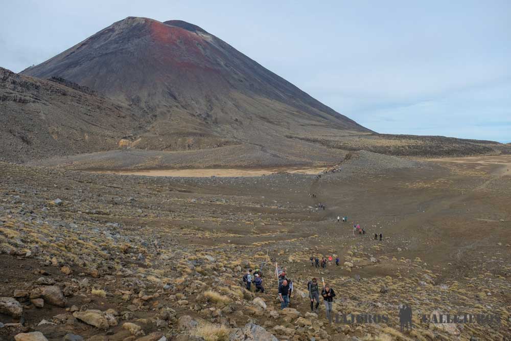 Tercera Etapa del Trekking Tongariro