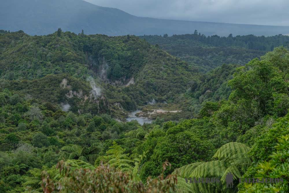 Waimangu Volcanic Valley