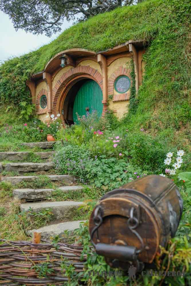 Visitar Hobbiton Movie Set