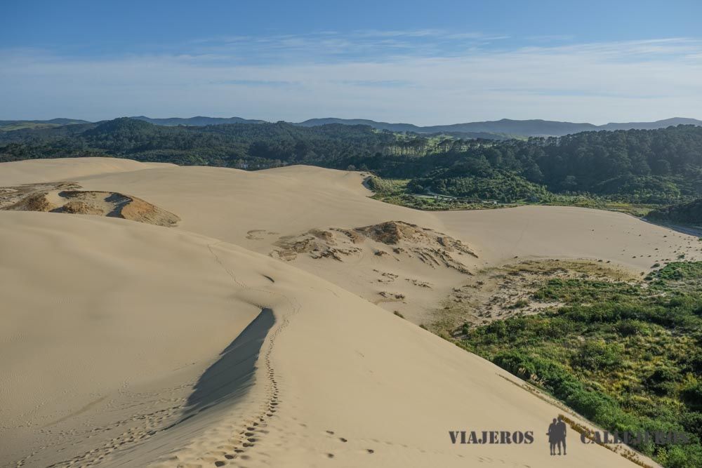 Te Paki Giant Dunes