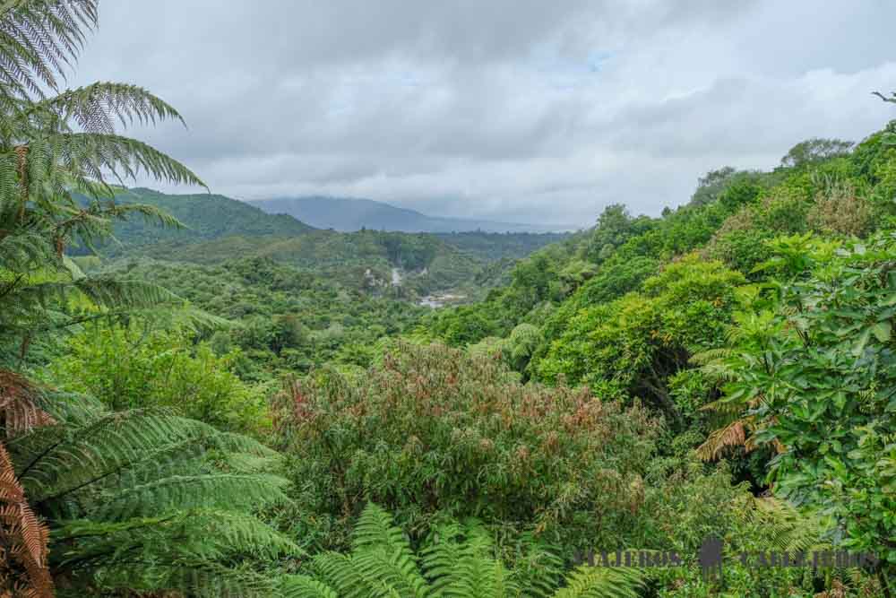 Waimangu Volcanic Valley