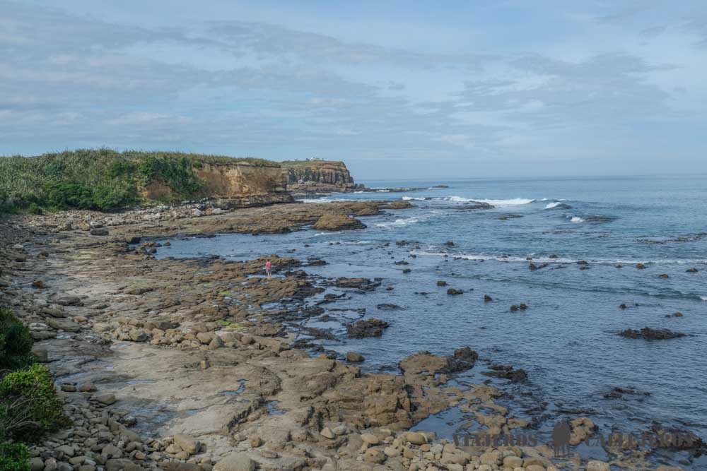 Curio Bay