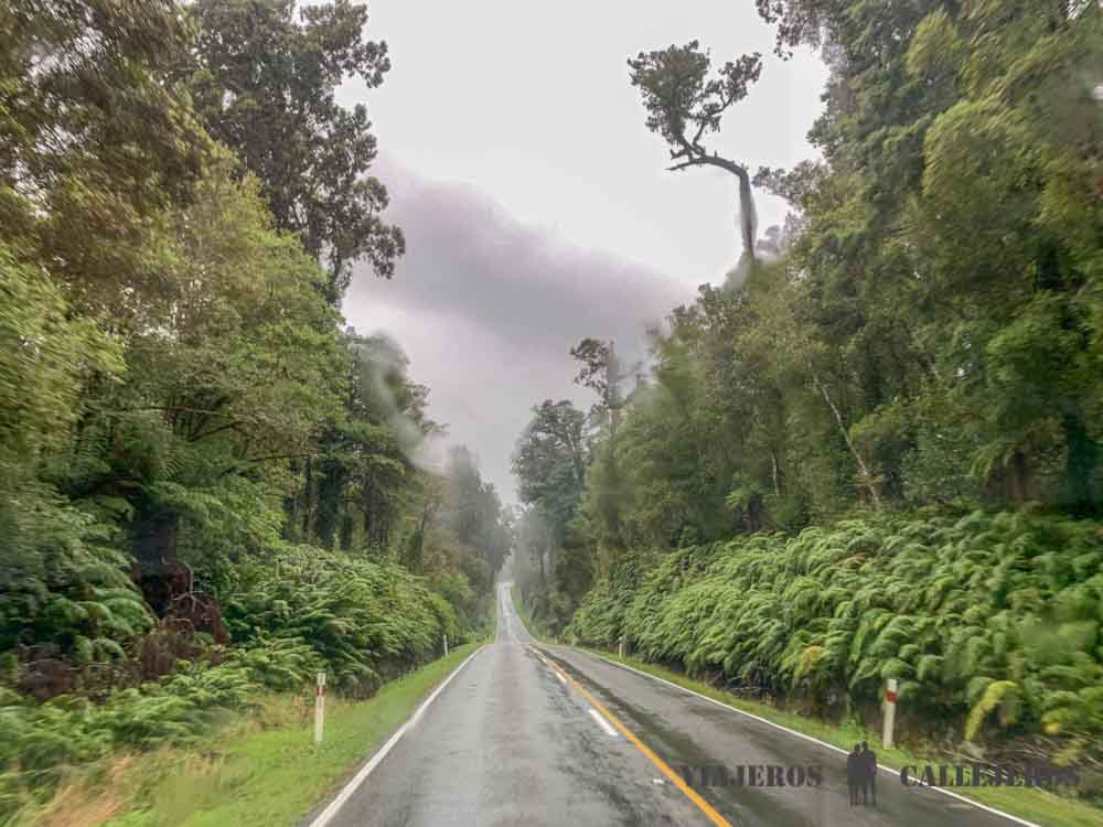 Carretera Glaciar Franz Josef