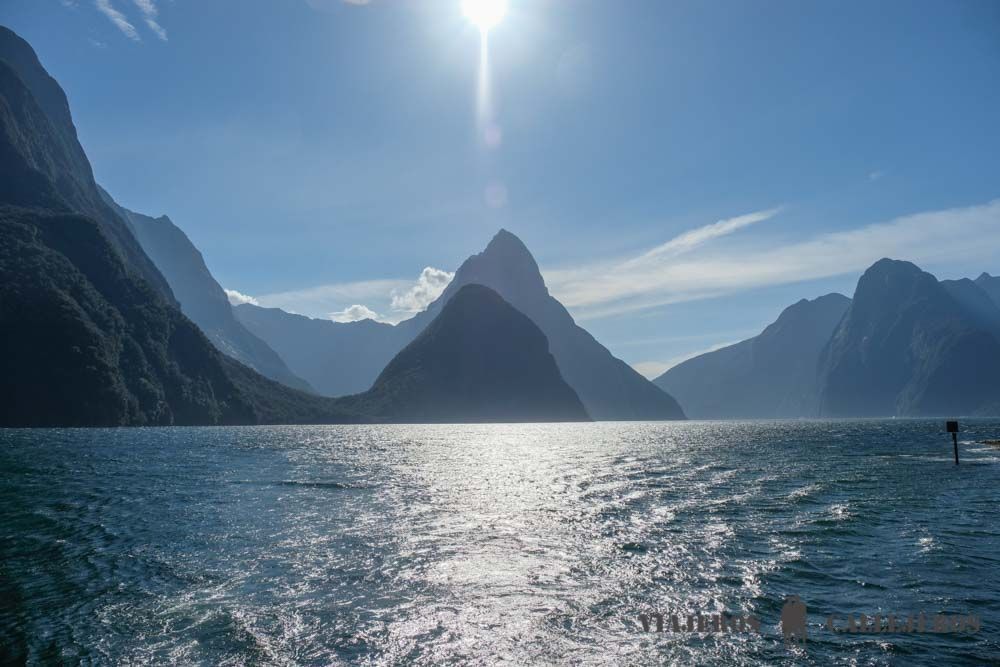 Crucero en Milford Sound