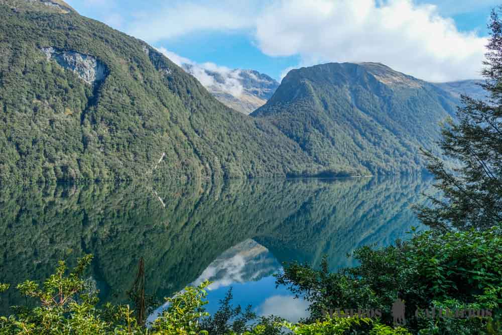 Lago Gunn