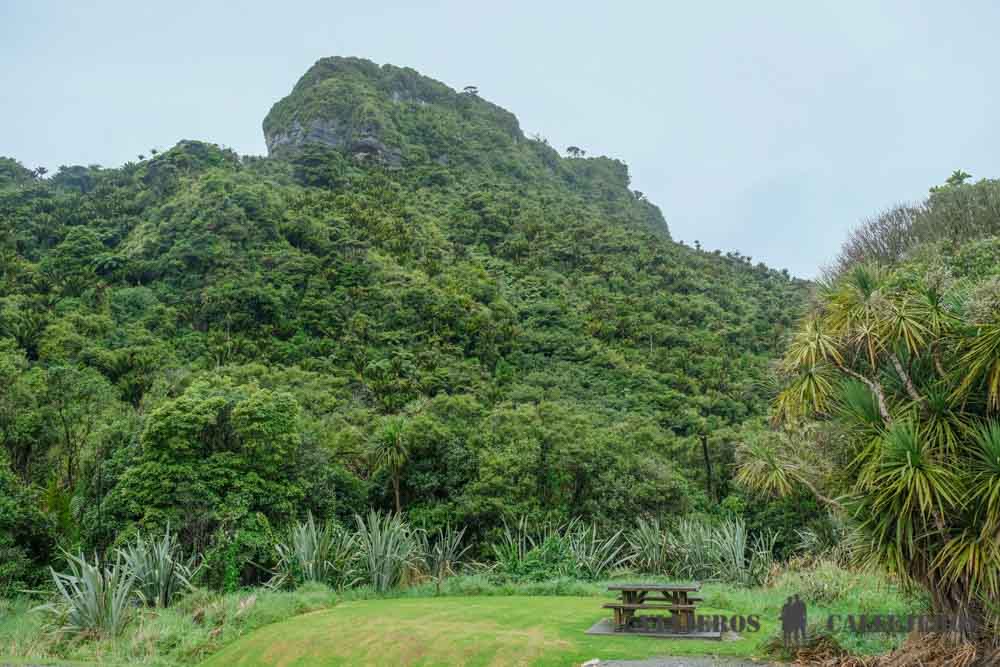 Mirador en la Costa Oeste de Nueva Zelanda