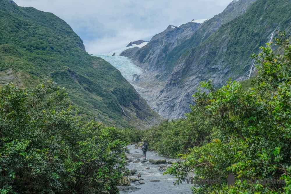 Glaciar Franz Josef