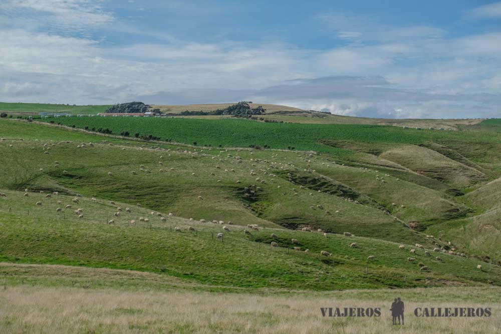 Paisajes de Los Catlins