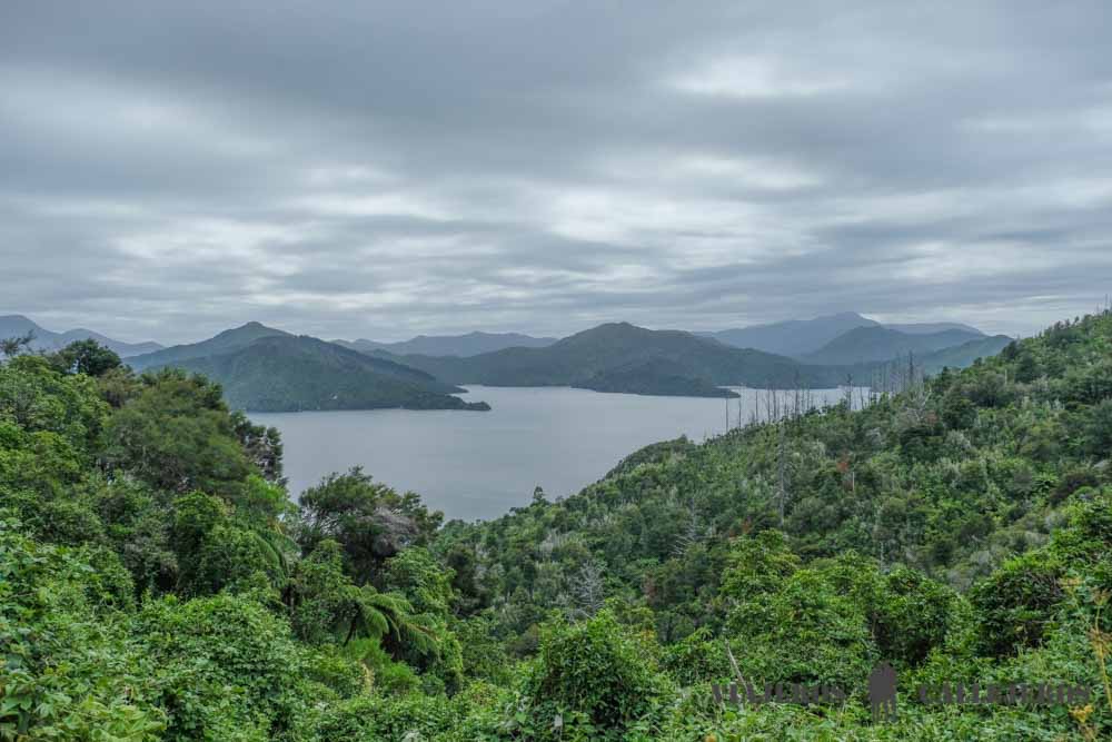 Paisajes de la Queen Charlotte Drive