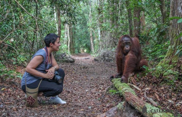 Parque Nacional Tanjung Puting