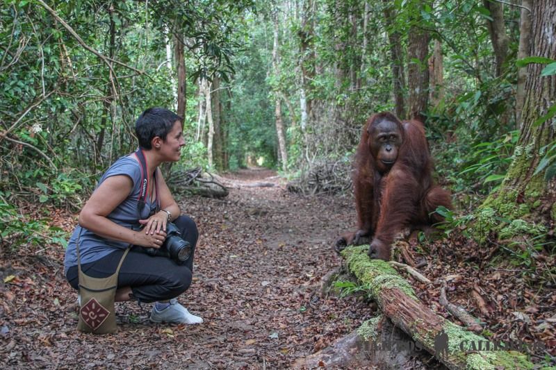 Parque Nacional Tanjung Puting