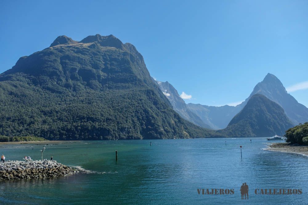 Vistas desde el puerto de Milford Sound