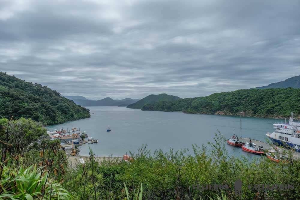 Queen Charlotte Drive