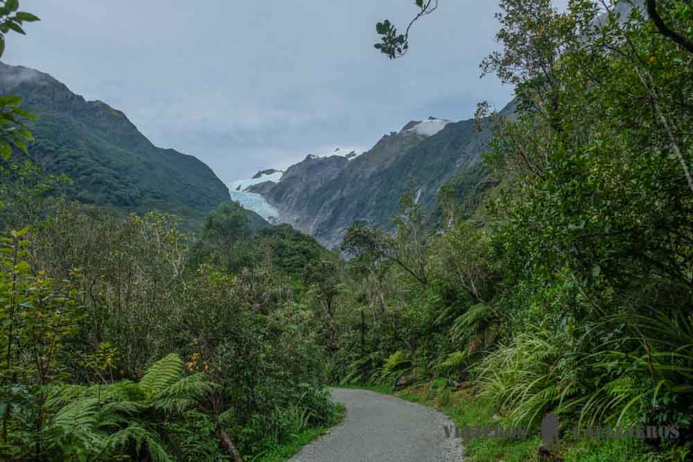 Sendero Glaciar Franz Josef