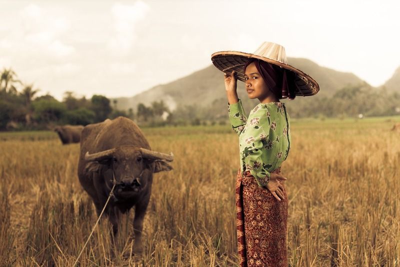 Sumatra