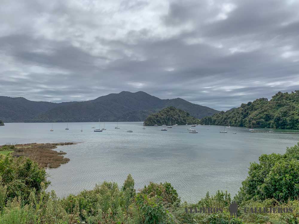 Queen Charlotte Drive