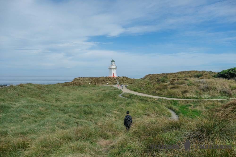 Waipapa Point