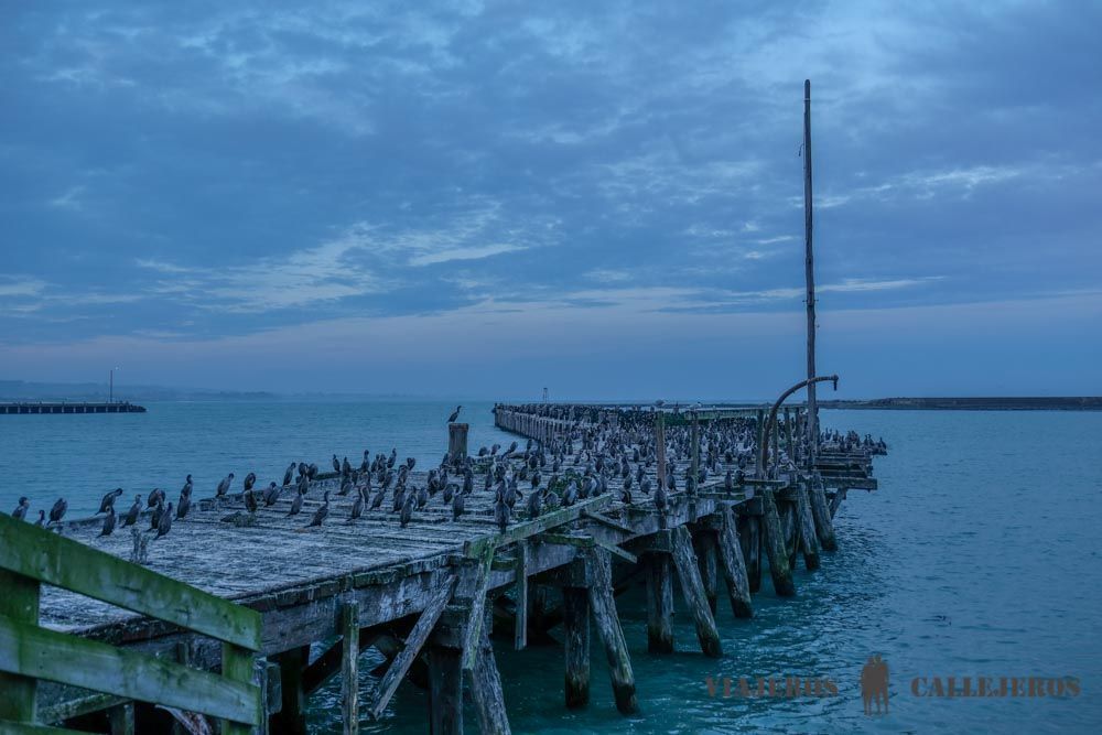 Oamaru