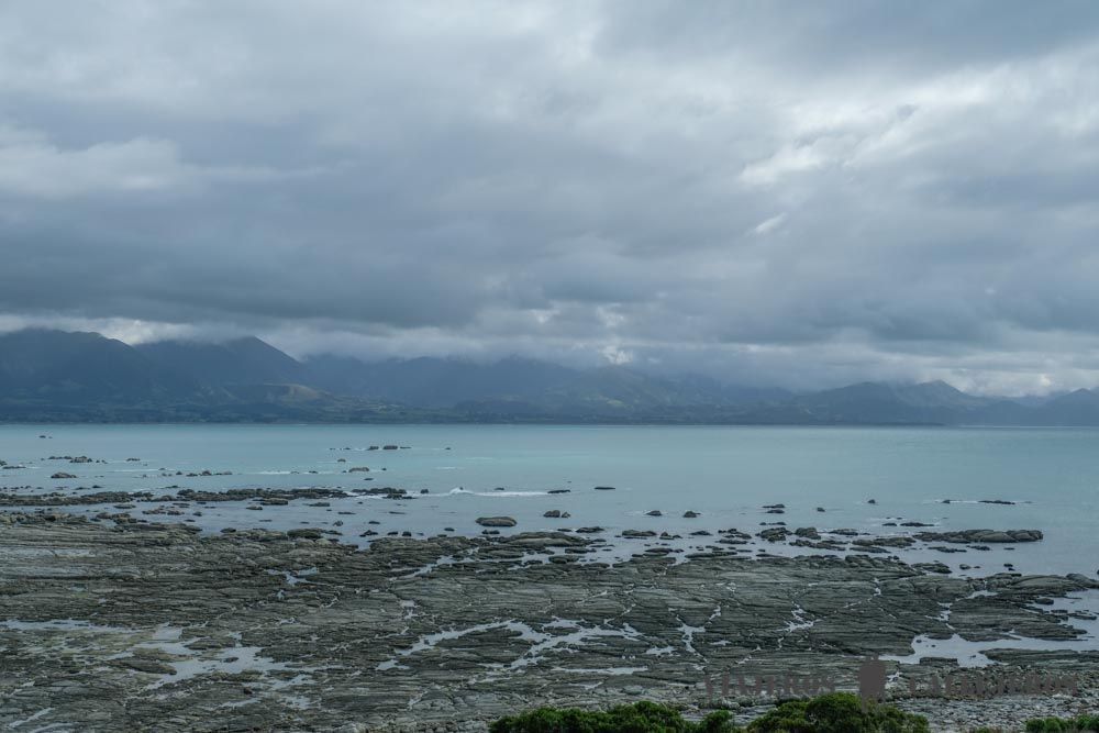 Costa de Kaikoura