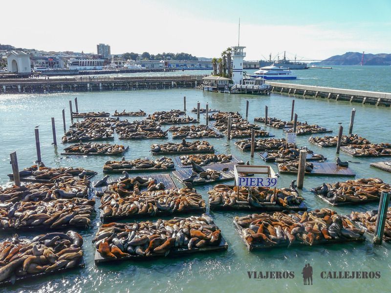 Pier 39 en el Fishermans's Wharf, que ver en San Francisco