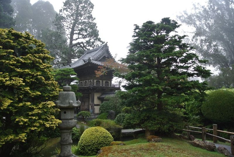 Golden Gate Park, que ver en San Francisco