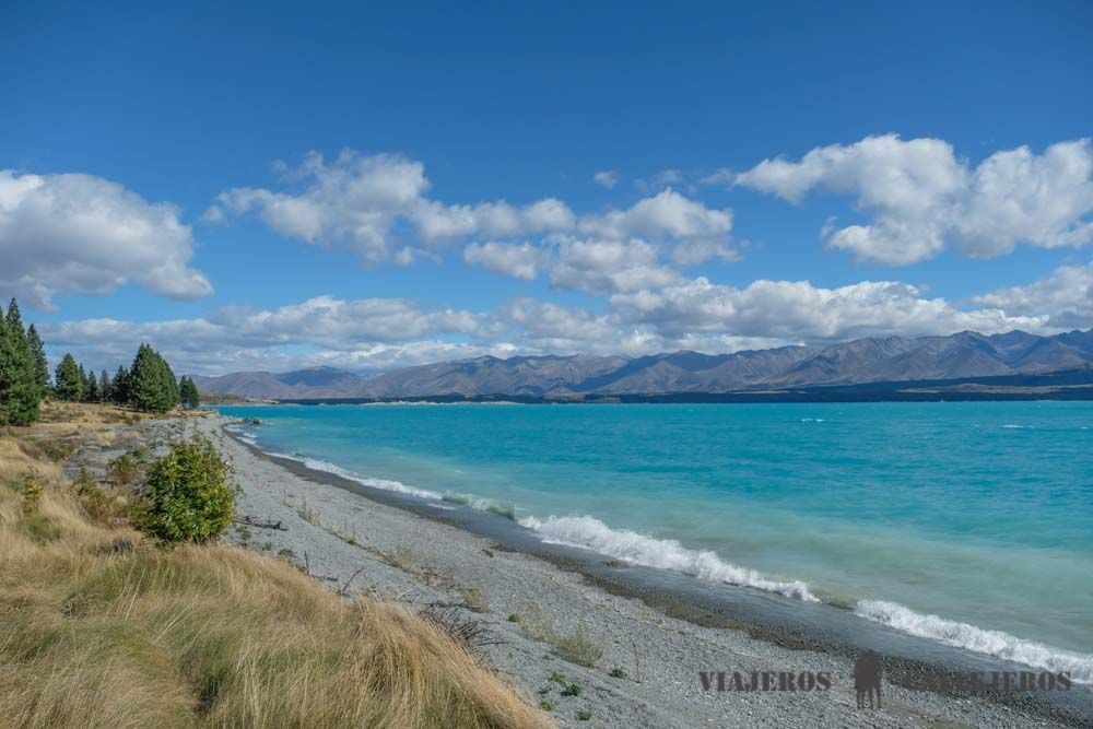 Recorrer Lilybank Rd, una de las cosas que hacer en el Lago Tekapo