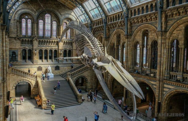Museo de Historia Natural