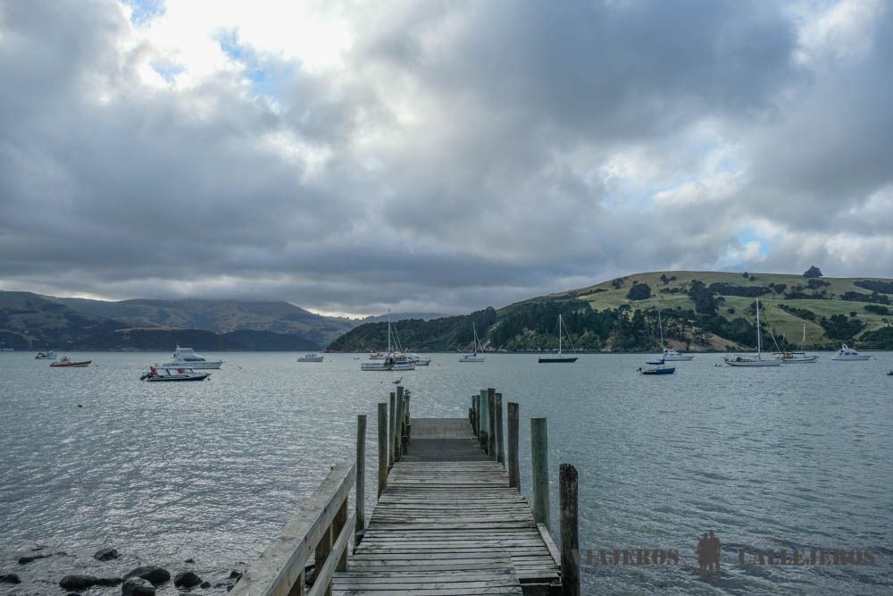 Puerto de Akaroa